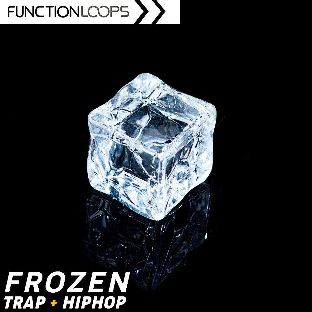 Pochette de Frozen - Trap & Hiphop