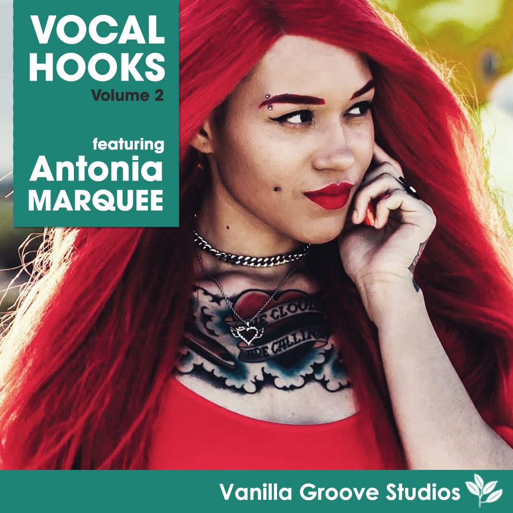 Vocal Hooks Vol 2 Sample Pack By Vanilla Groove Studios Landr Samples