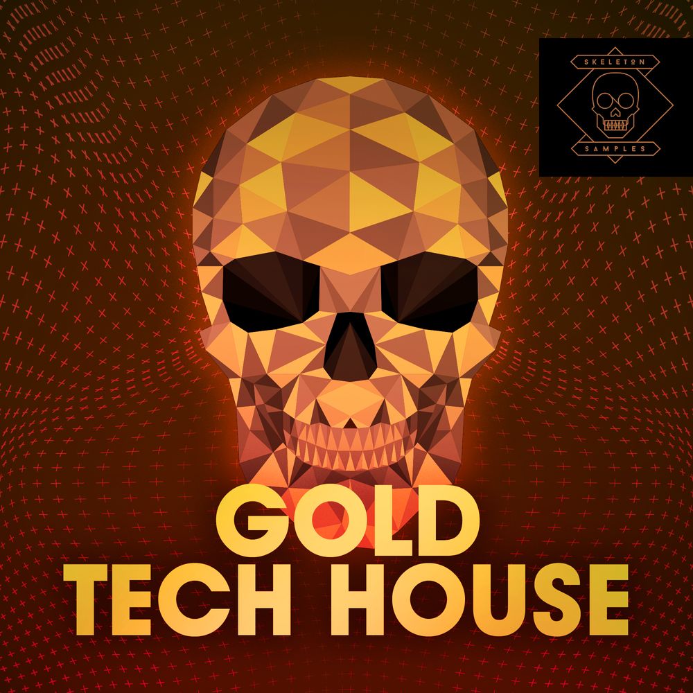 Pochette de Gold Tech House