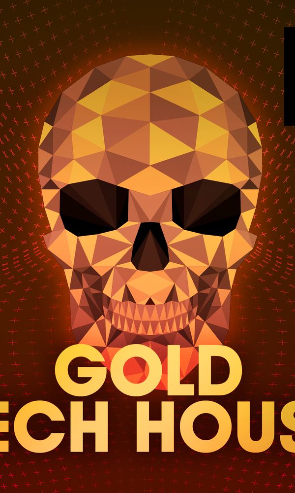 Artwork for Gold Tech House