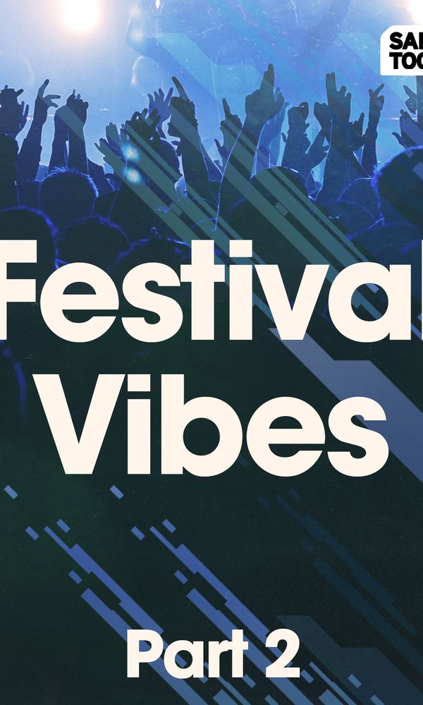 Artwork for Festival Vibes (Part 2)