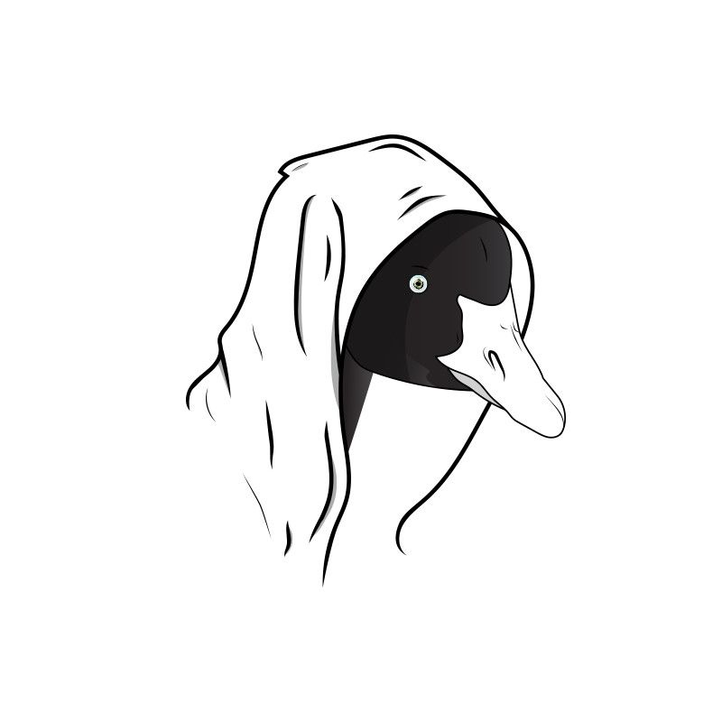 Pochette de Goosetaf Presents: Lo-Fi