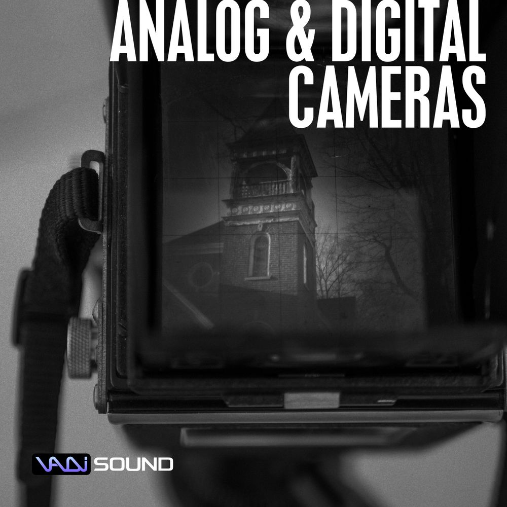 Arte de Analog and Digital Cameras