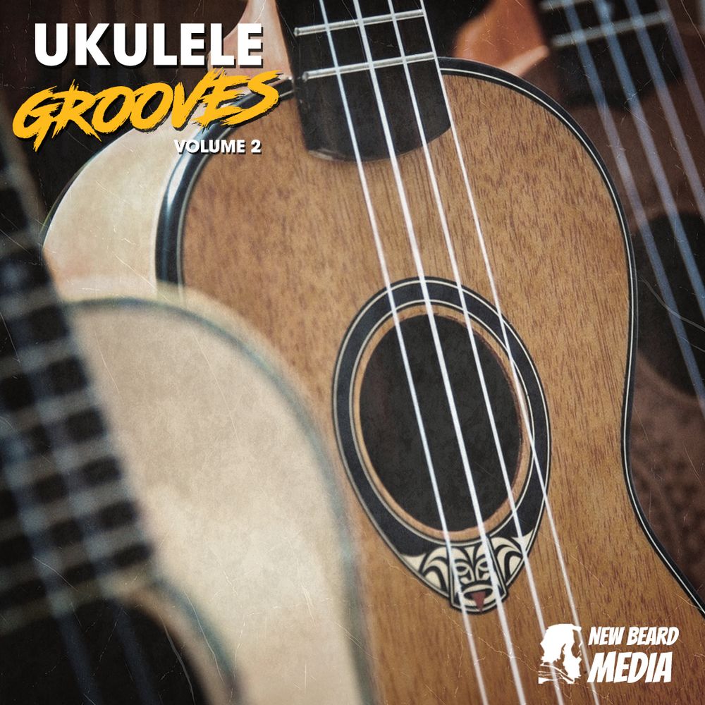 Pochette de Ukulele Grooves Vol 2