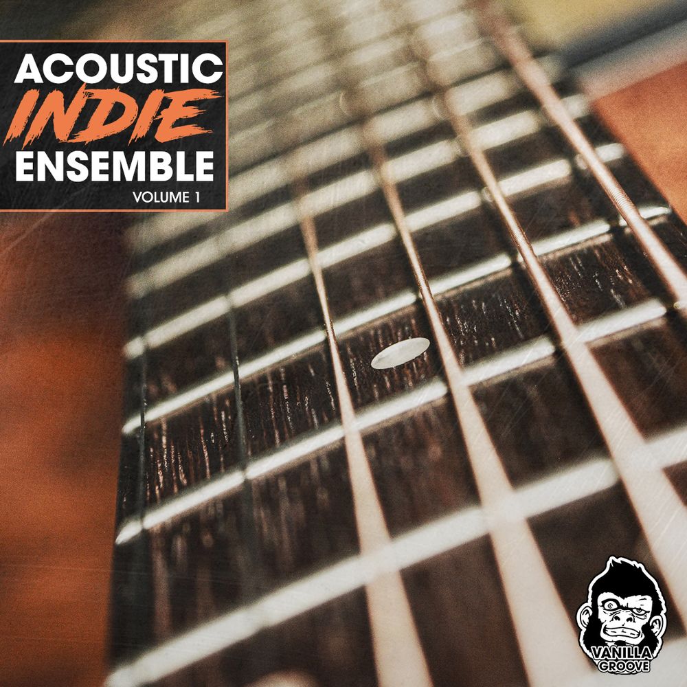 Pochette de Acoustic Indie Ensemble Vol 1