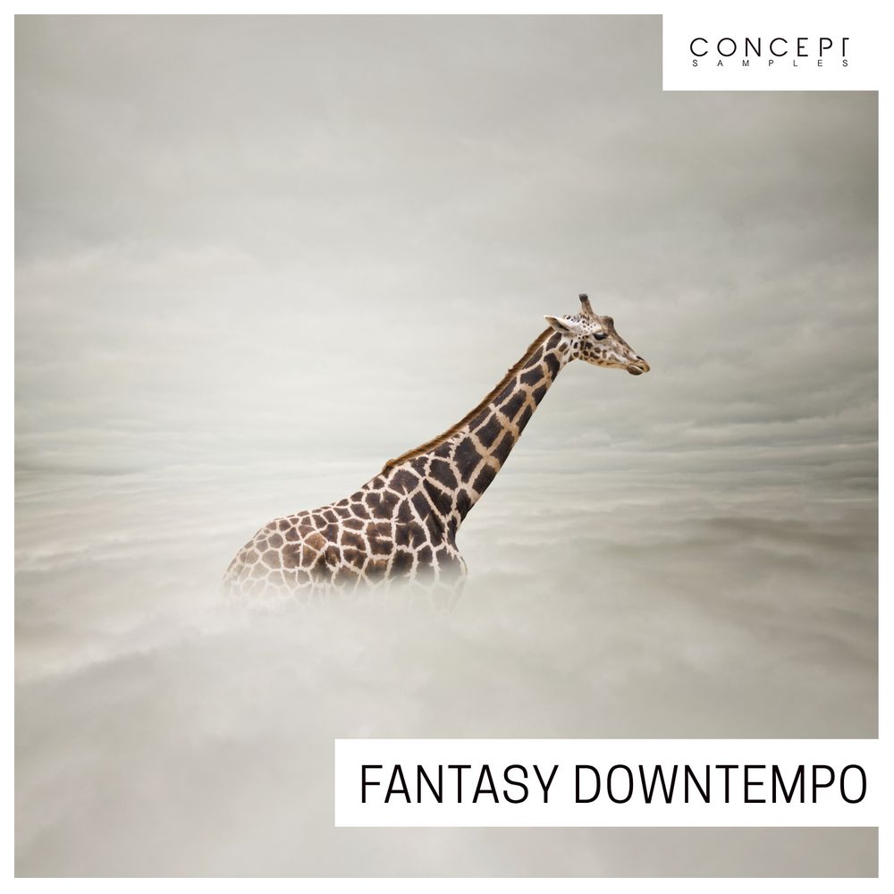 Arte de Fantasy Downtempo