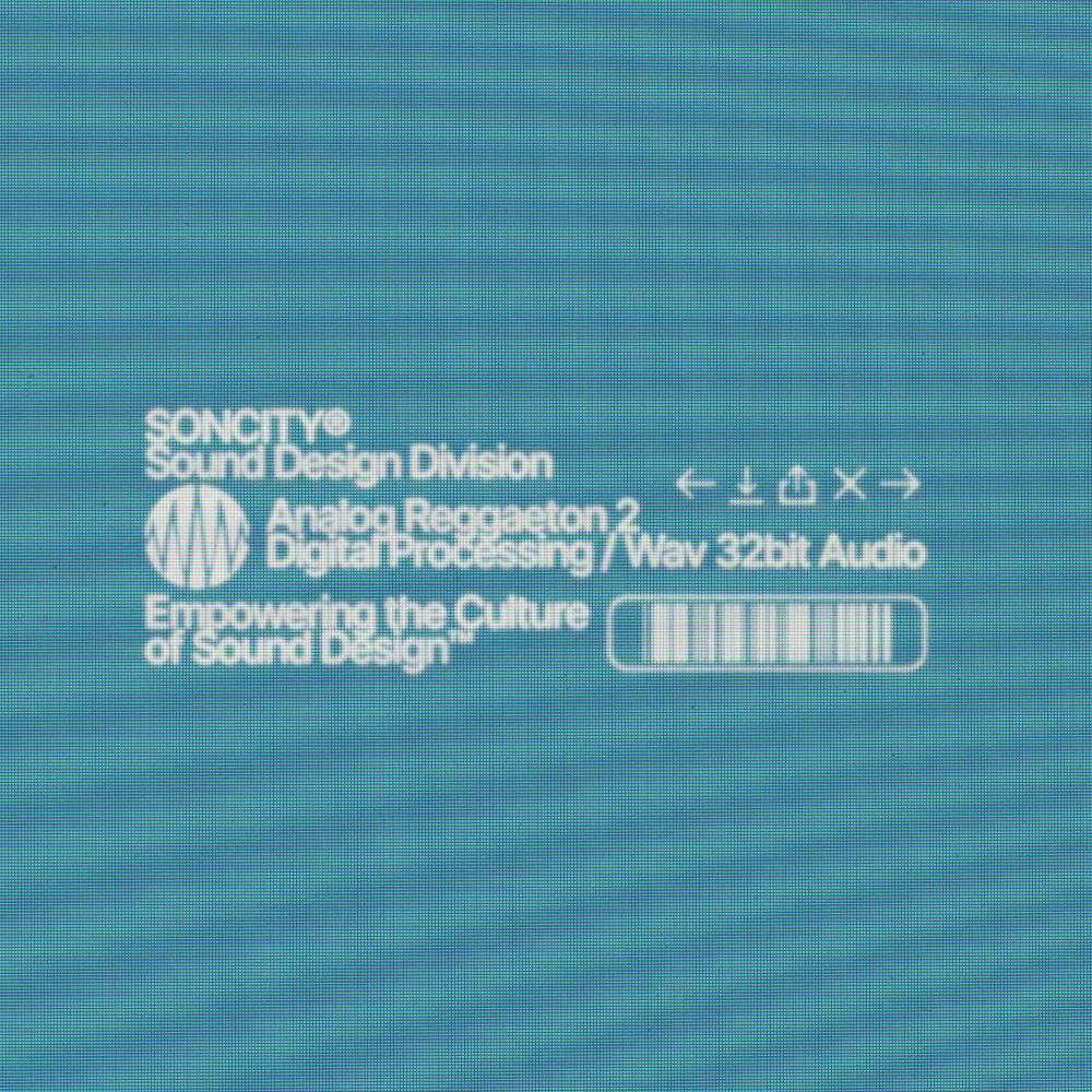 Pochette de Analog Reggaetón 2