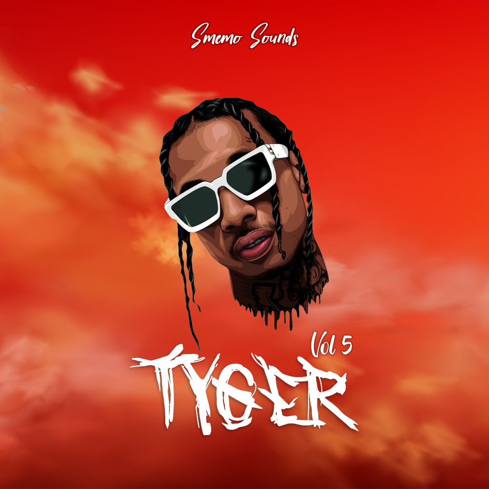 Pochette de TYGER vol 5