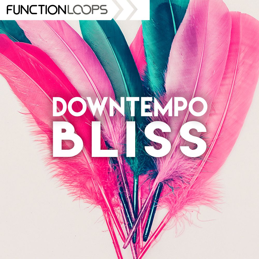 Pochette de Downtempo Bliss
