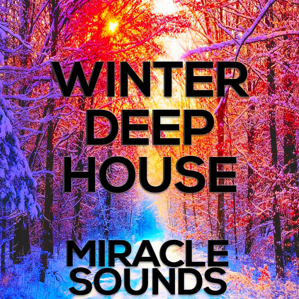 Cover of Winter Deep House