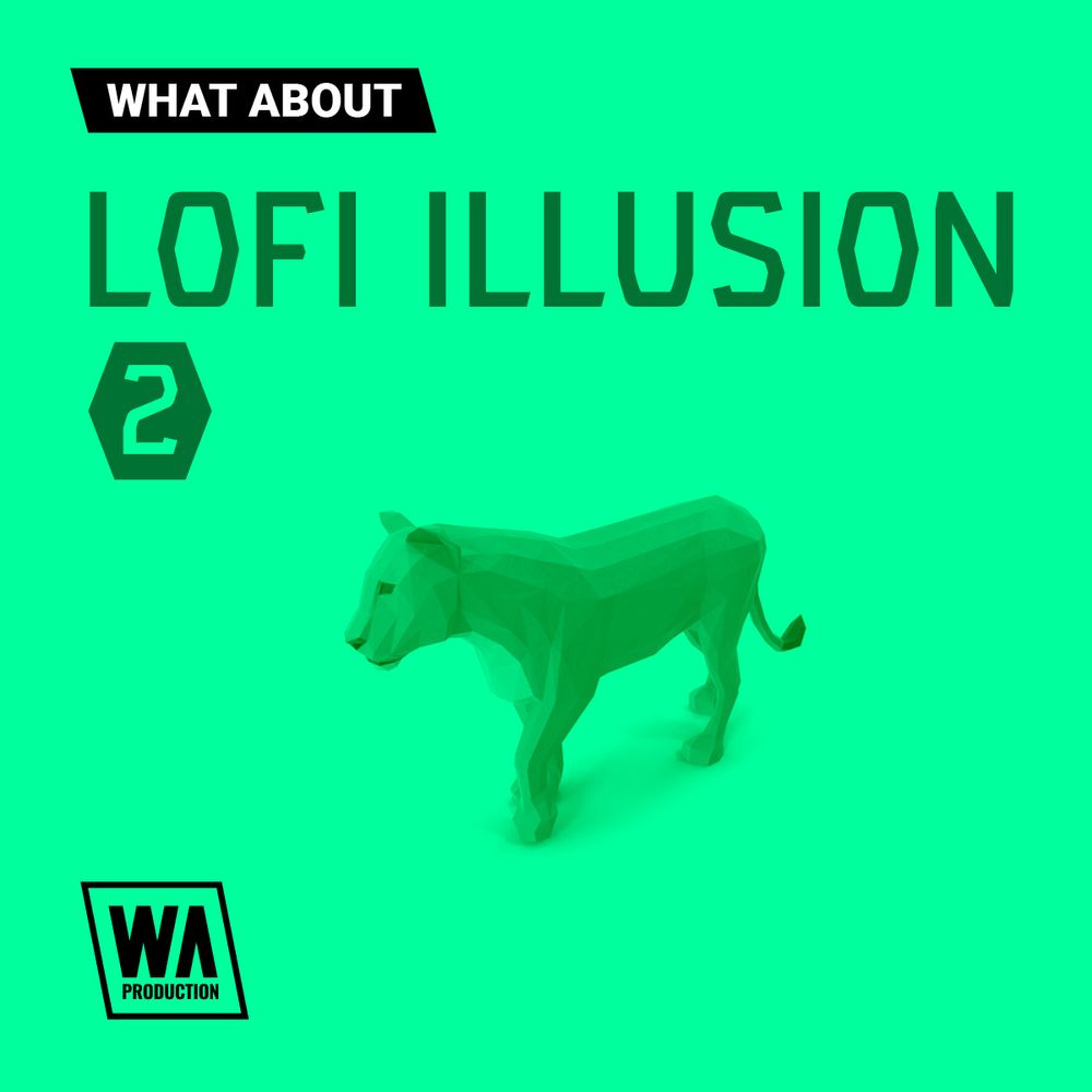 Pochette de What About: Lofi Illusion 2