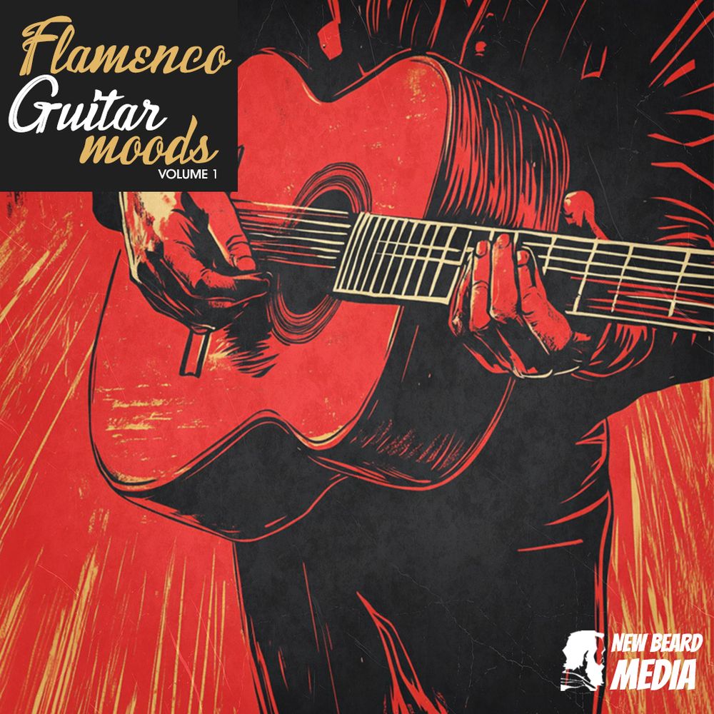 Pochette de Flamenco Guitar Moods Vol 1