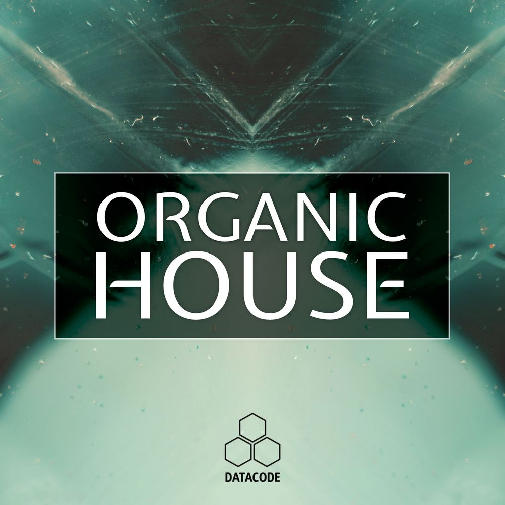 Arte de FOCUS: Organic House