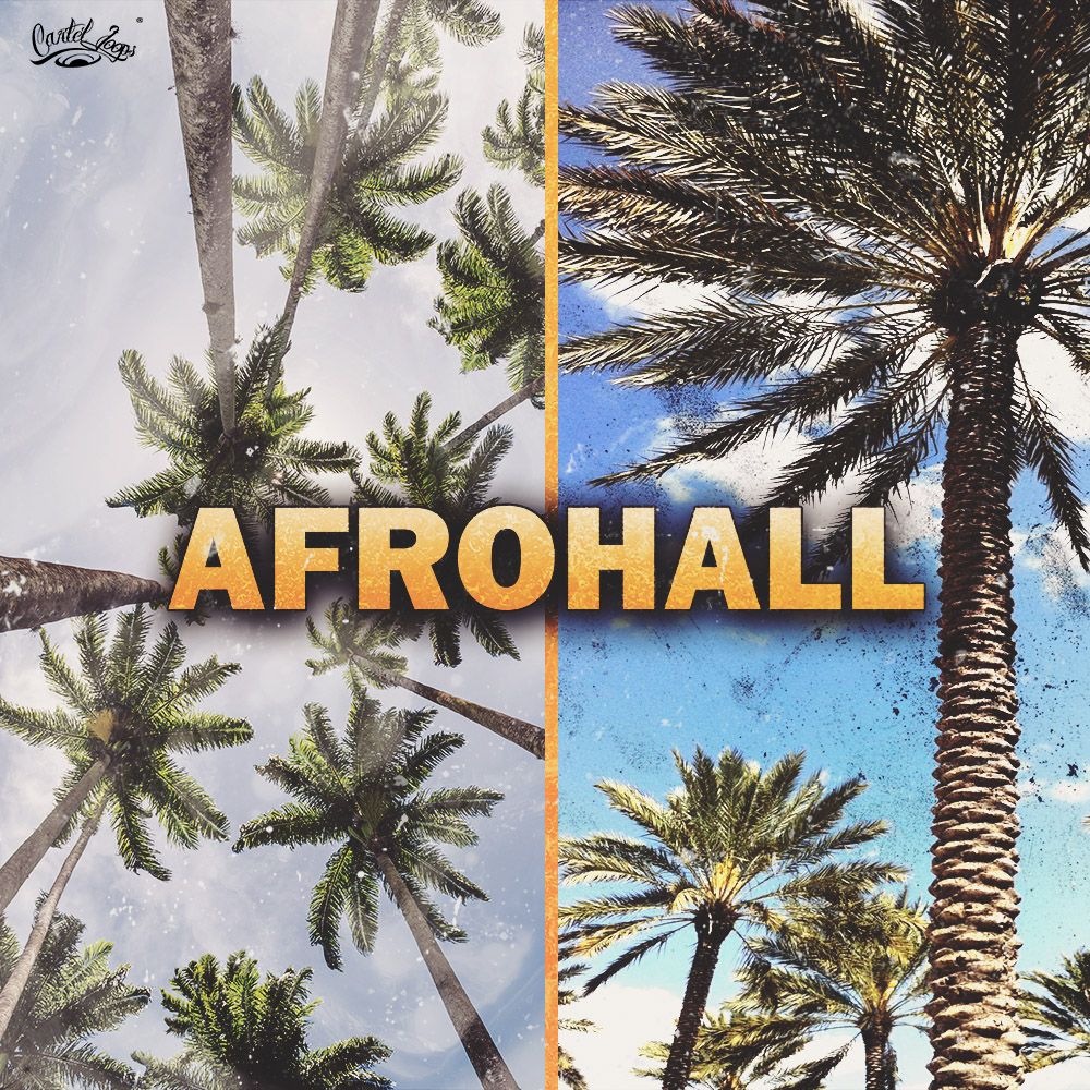 Pochette de Afrohall