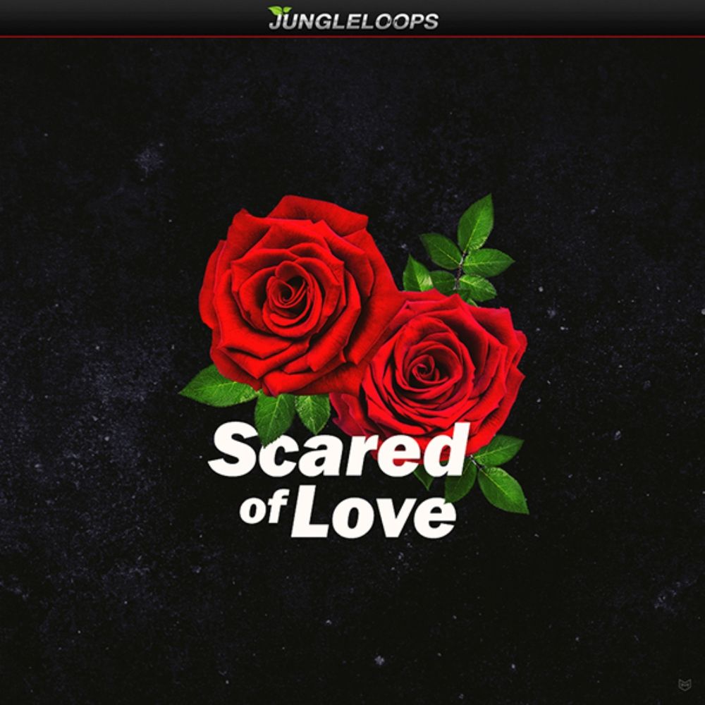 Artwork of Scared of Love