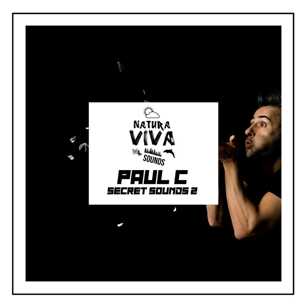 Arte de Paul C - Secret Sounds 2