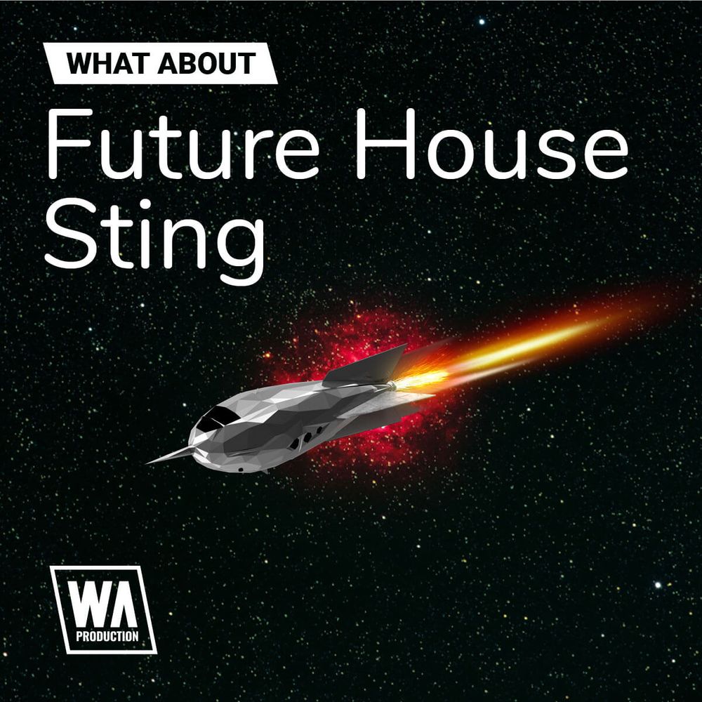 Pochette de What About: Future House Sting