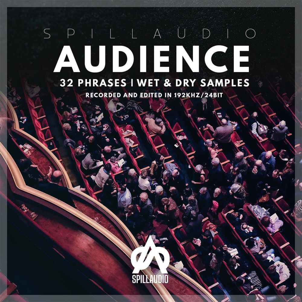 Artwork of Audience