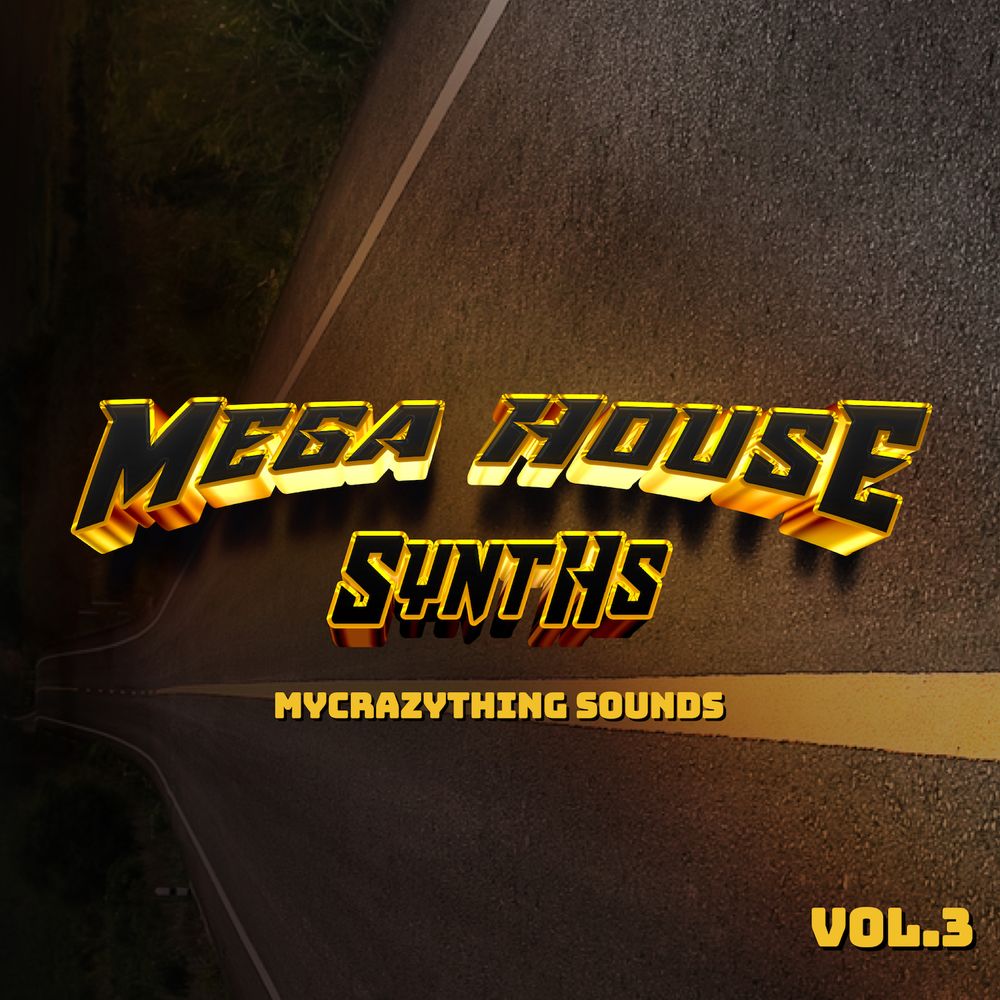 Pochette de Mega House Synths 3