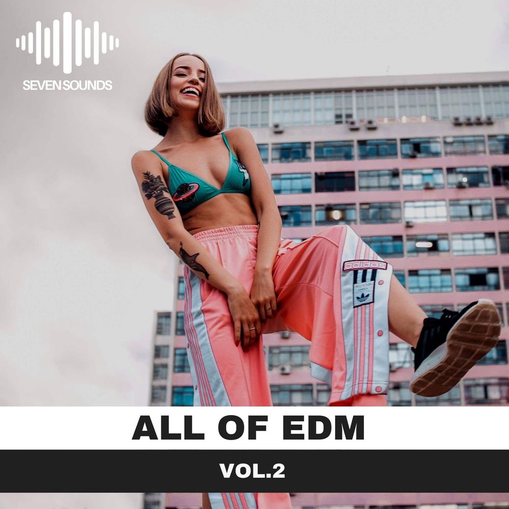Pochette de All of EDM vol.2
