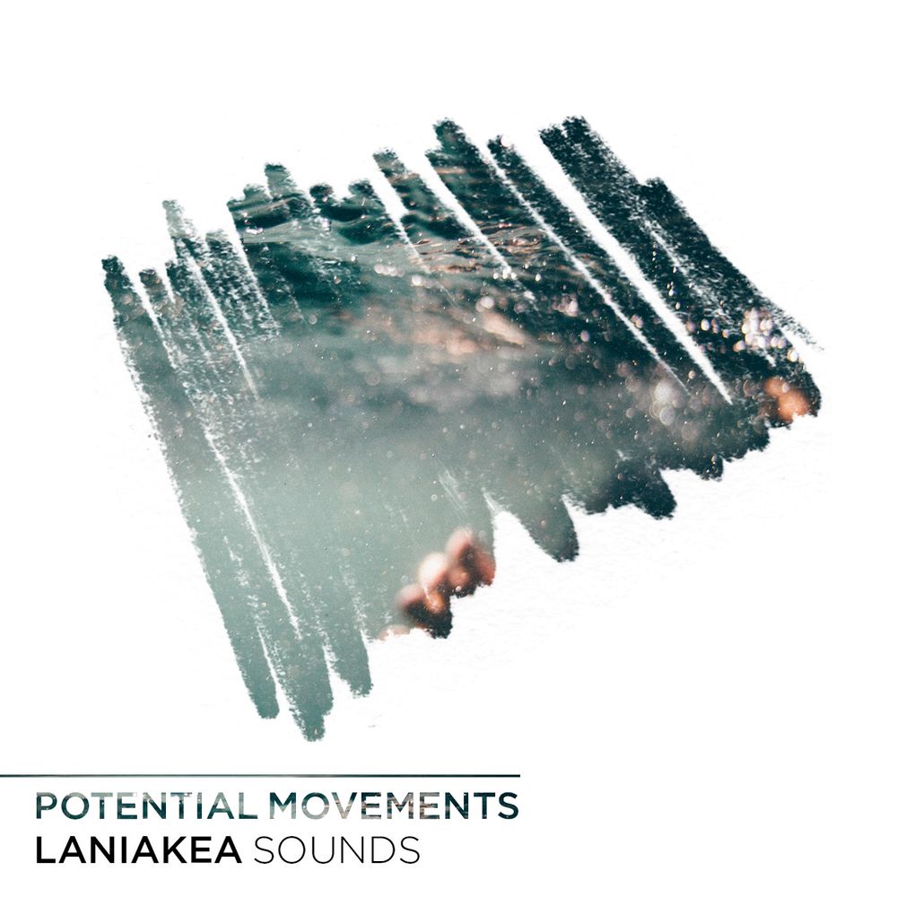 Pochette de Potential Movements