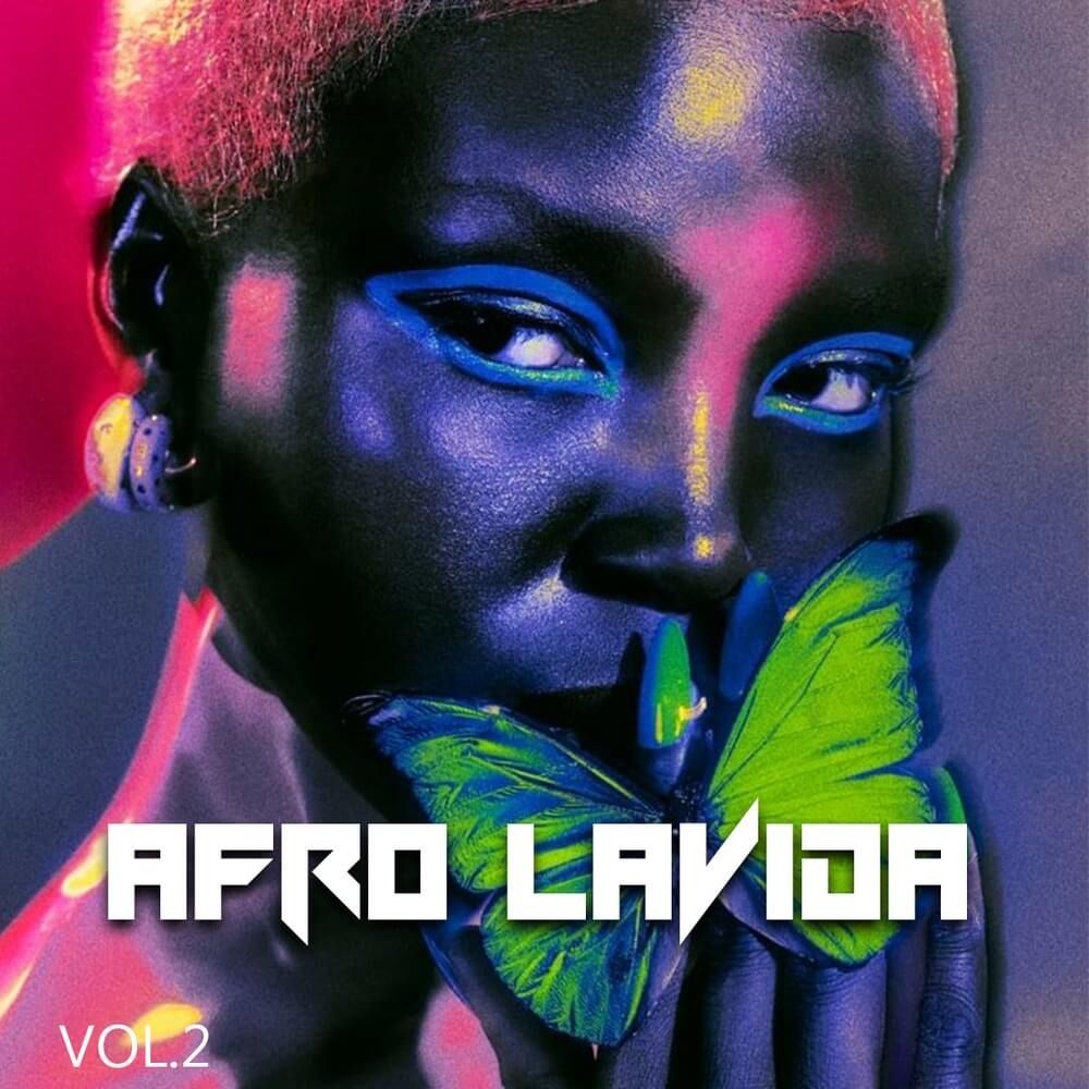 Pochette de AFRO LAVIDA Vol. 2