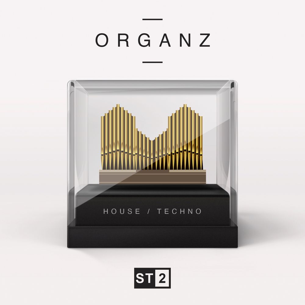 Pochette de Organz (House/Techno)