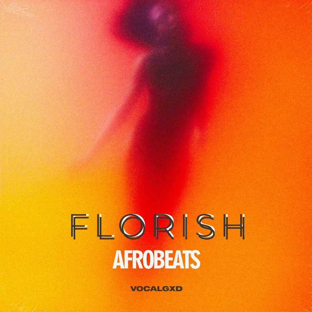 Pochette de Florish Afrobeats