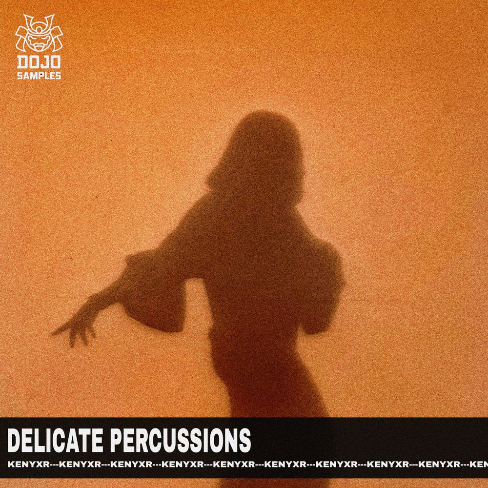 Pochette de Delicate Percussions