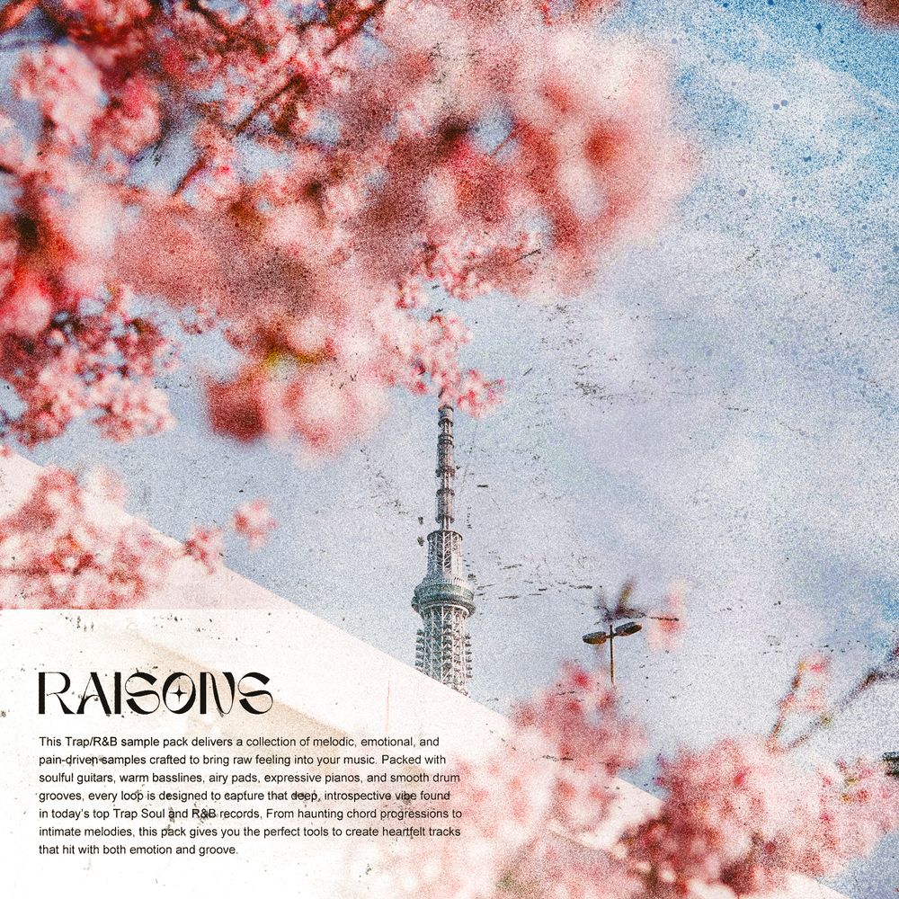 Pochette de Raisons - Late Night Trap