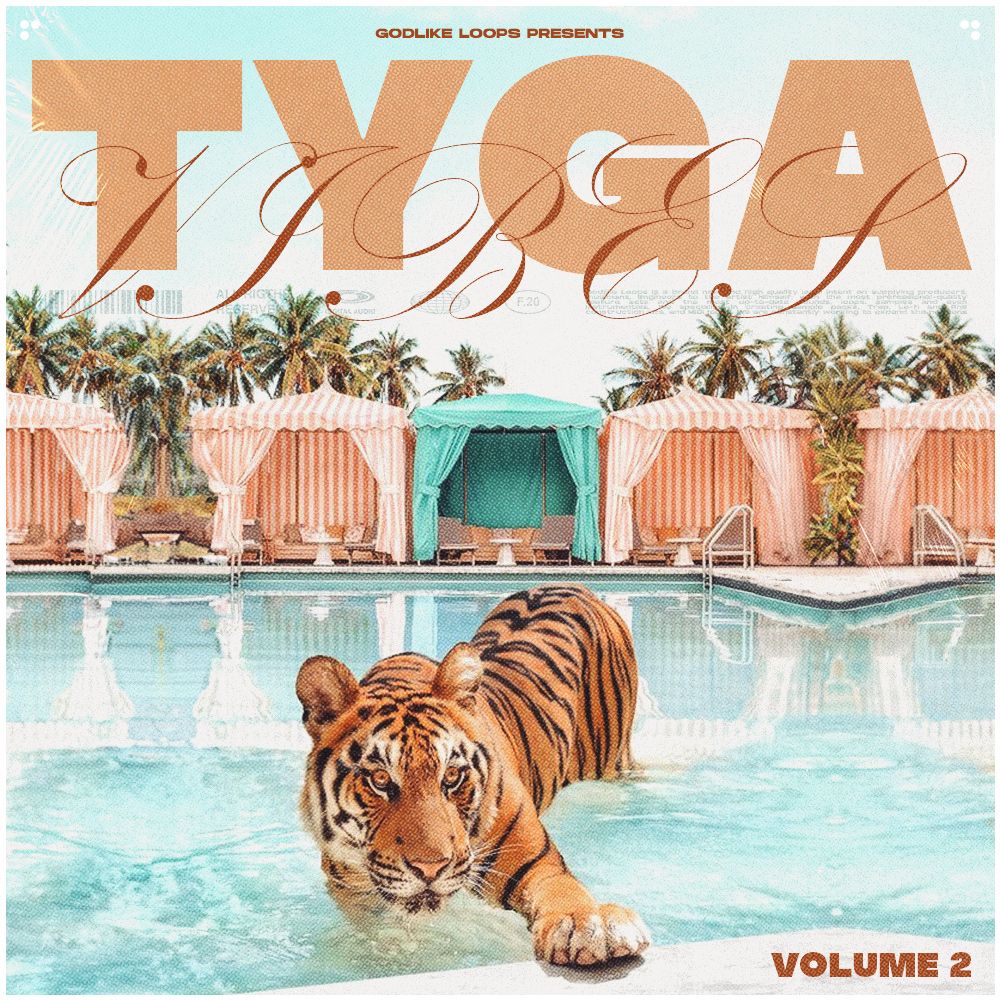 Arte de Tyga Vibes 2