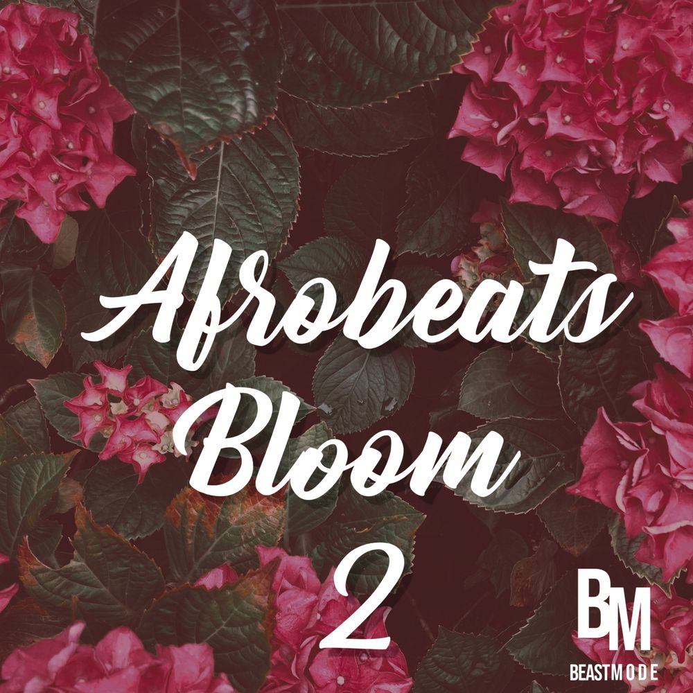 Pochette de Afrobeats Bloom 2