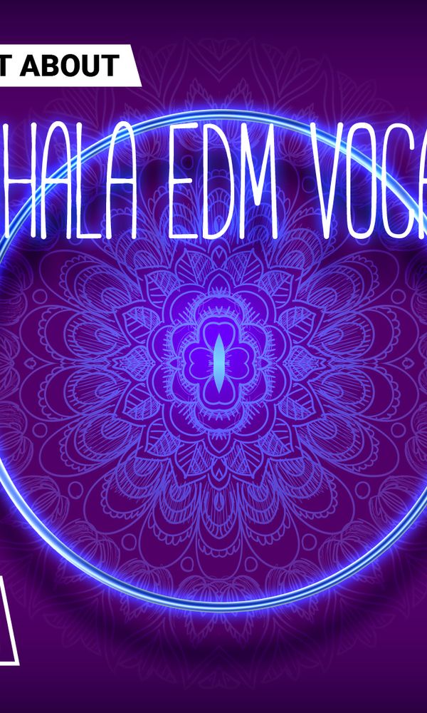 Artwork for What About: Sinhala EDM Vocals