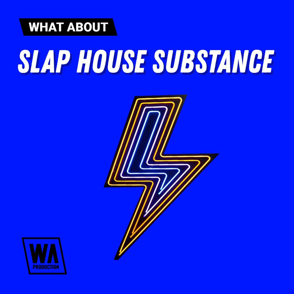 Pochette de What About:  Slap House Substance