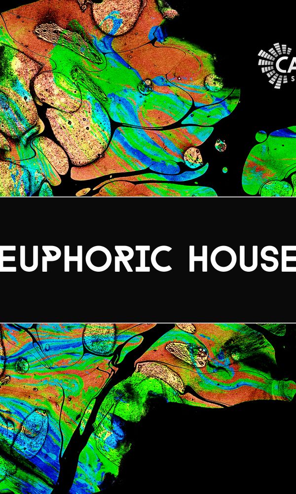 Artwork for Euphoric House