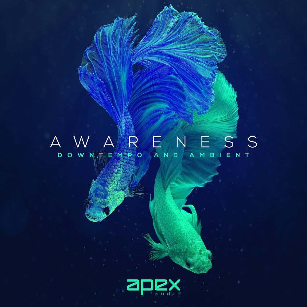 Obra de arte de Awareness - Downtempo & Ambient