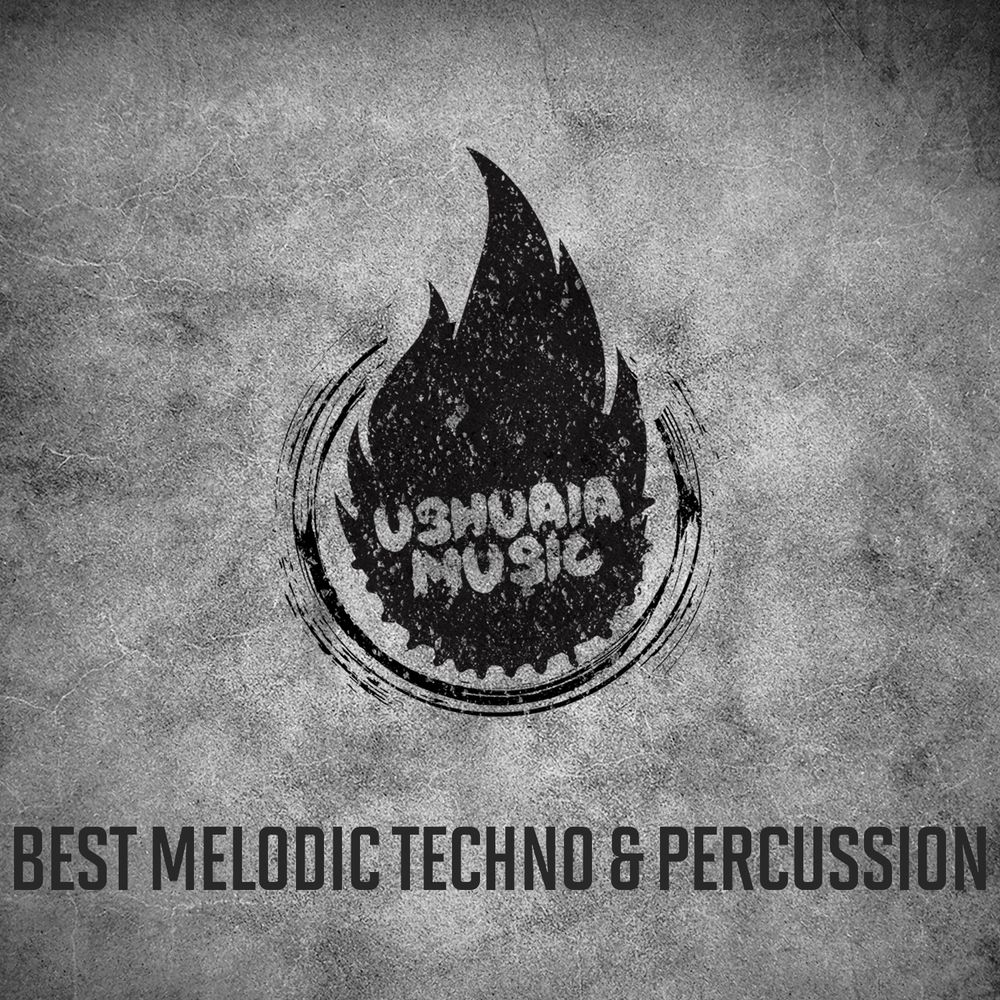 Arte de Best Melodic Techno & Percussion