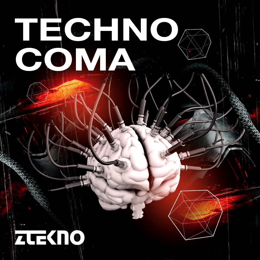 Pochette de  TECHNO COMA
