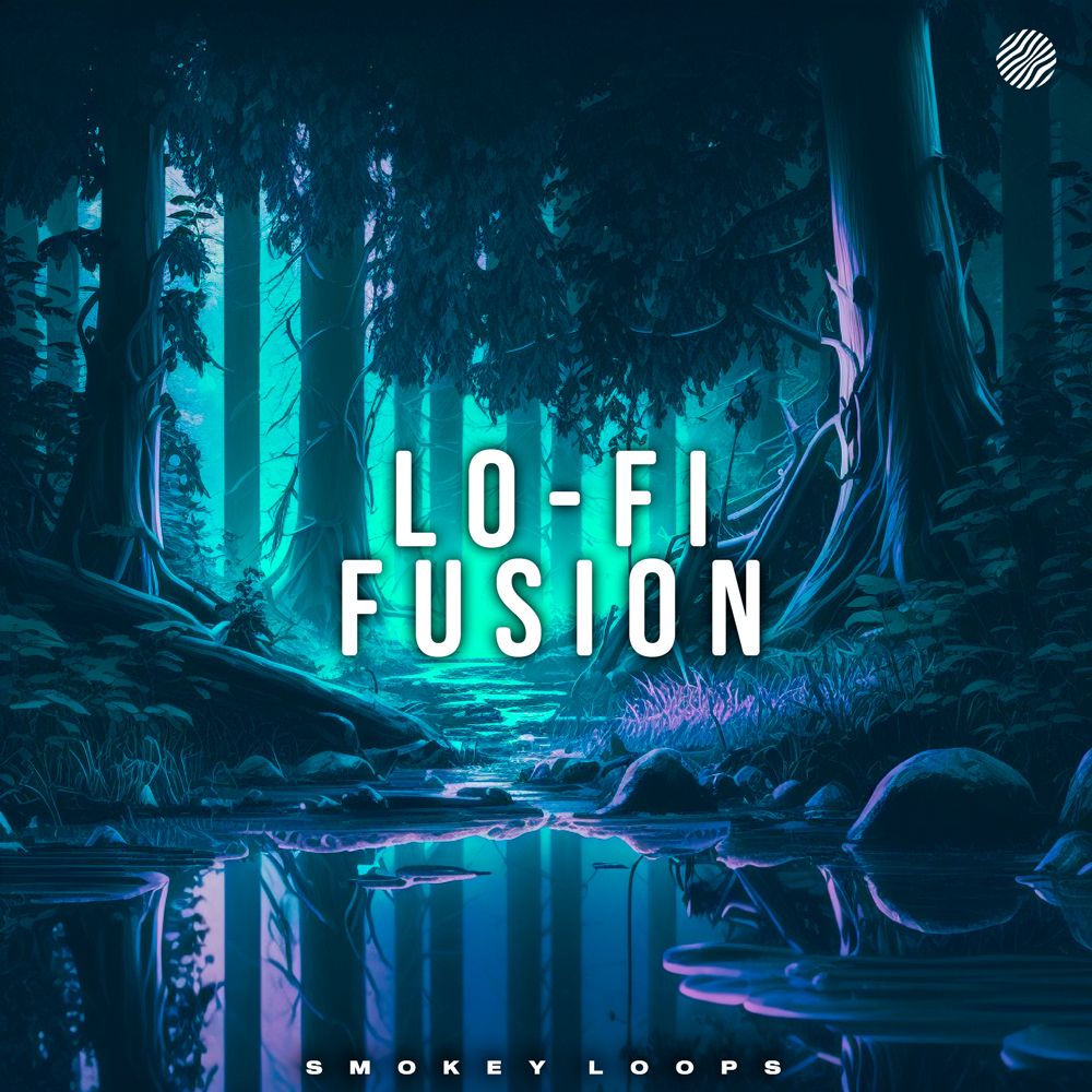 Pochette de Lo Fi Fusion