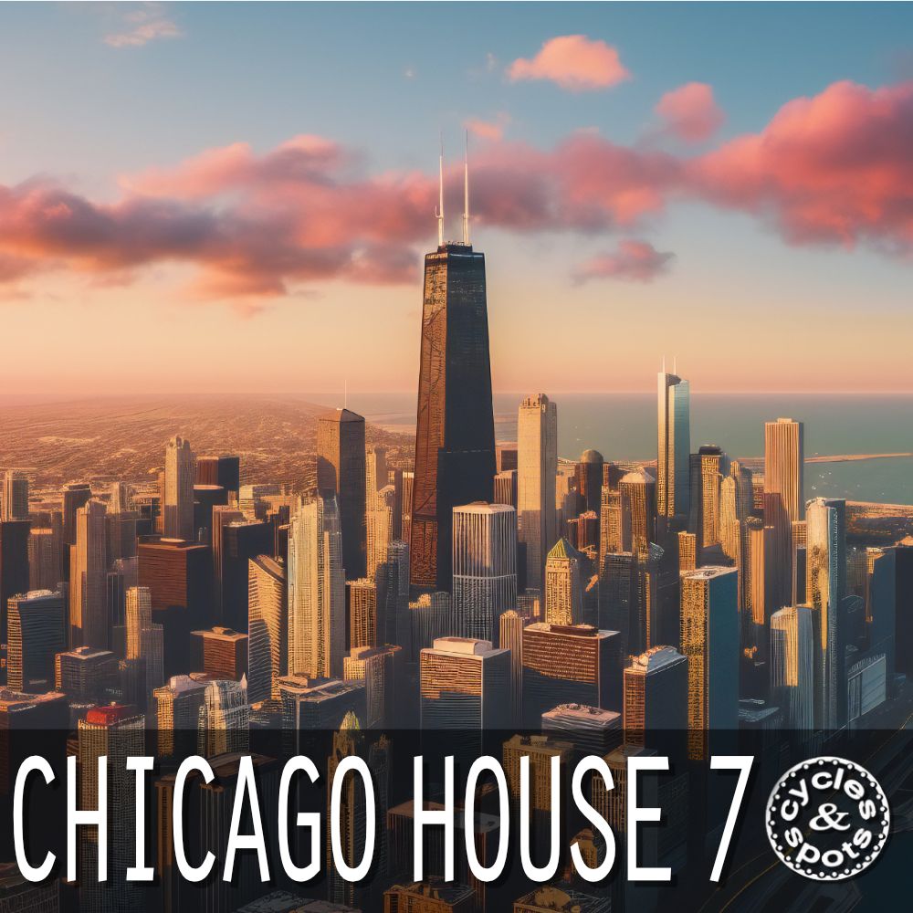 Arte de Chicago House 7