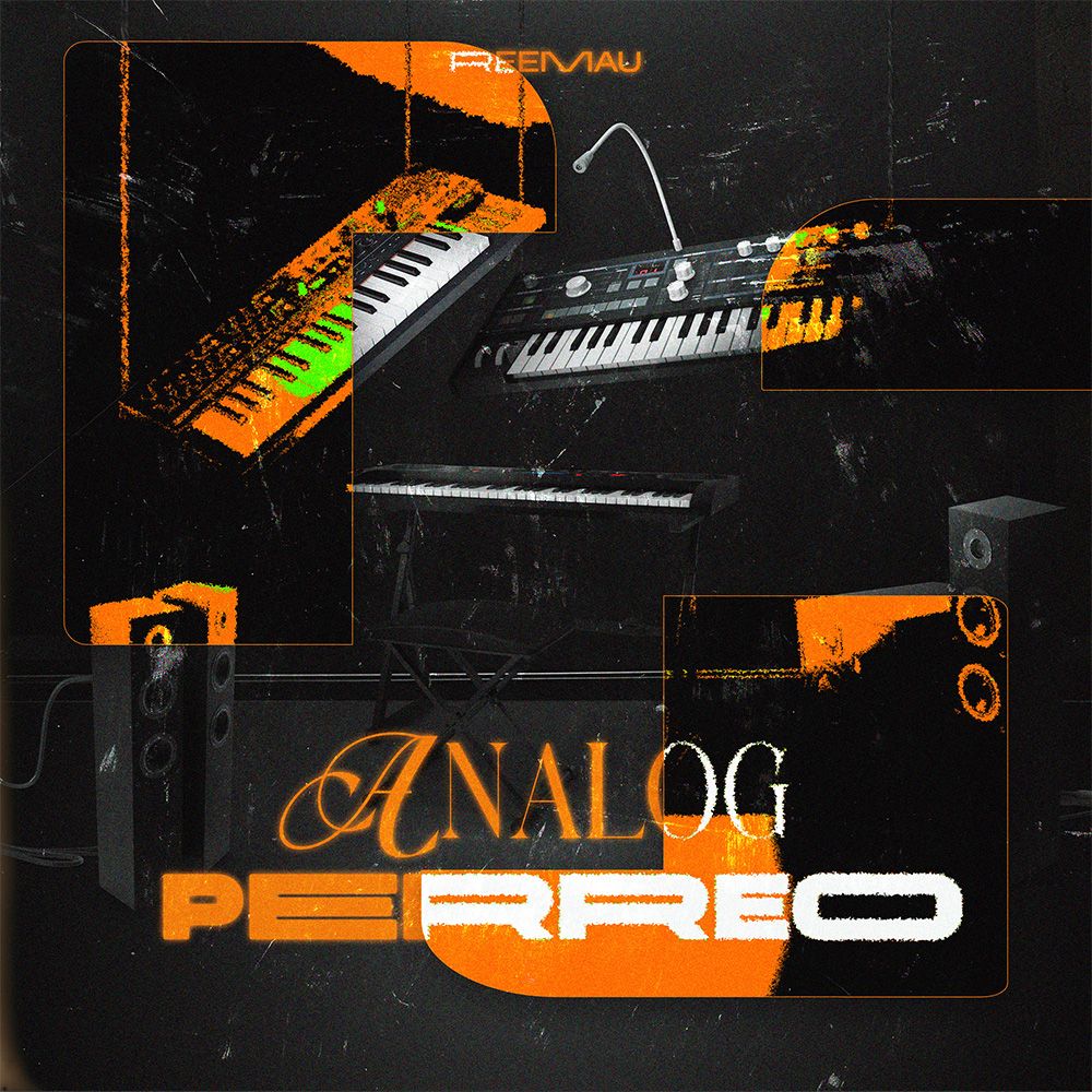 Artwork for ANALOG PERREO