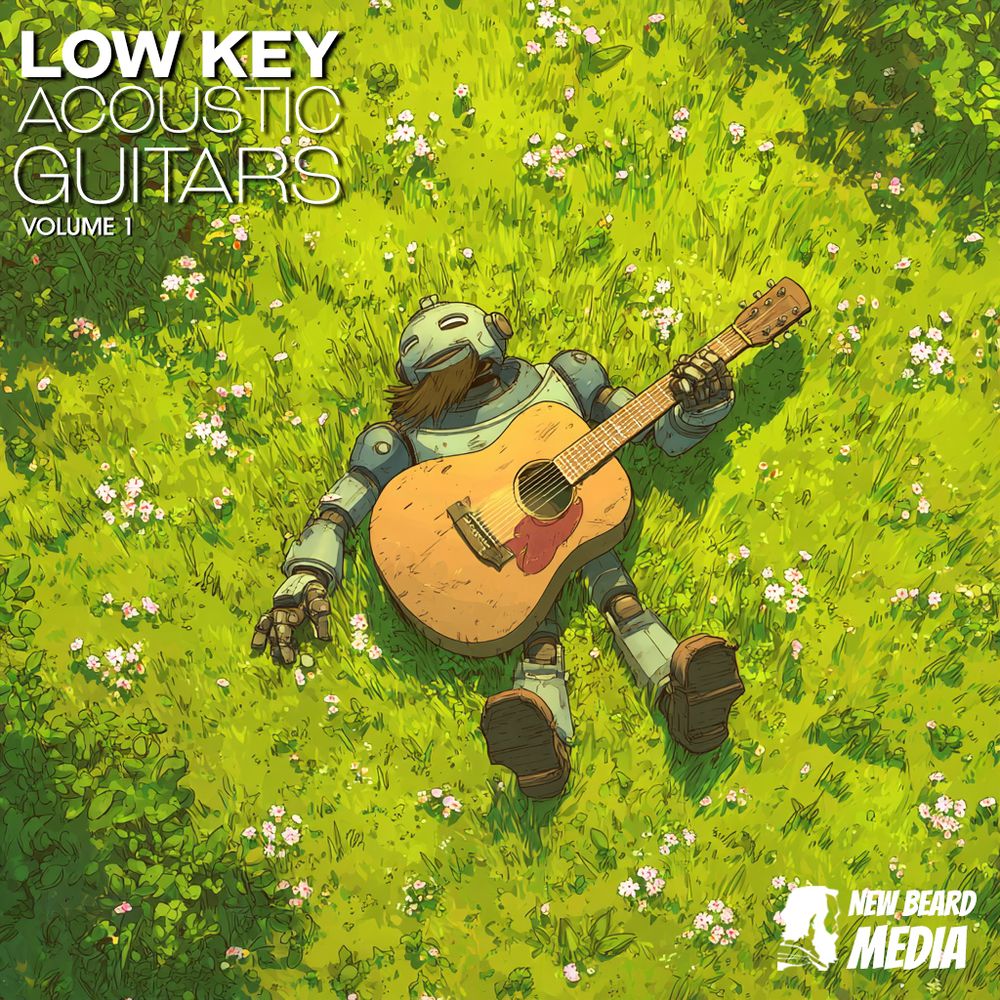 Artwork of Low Key Acoustic Guitars Vol. 1