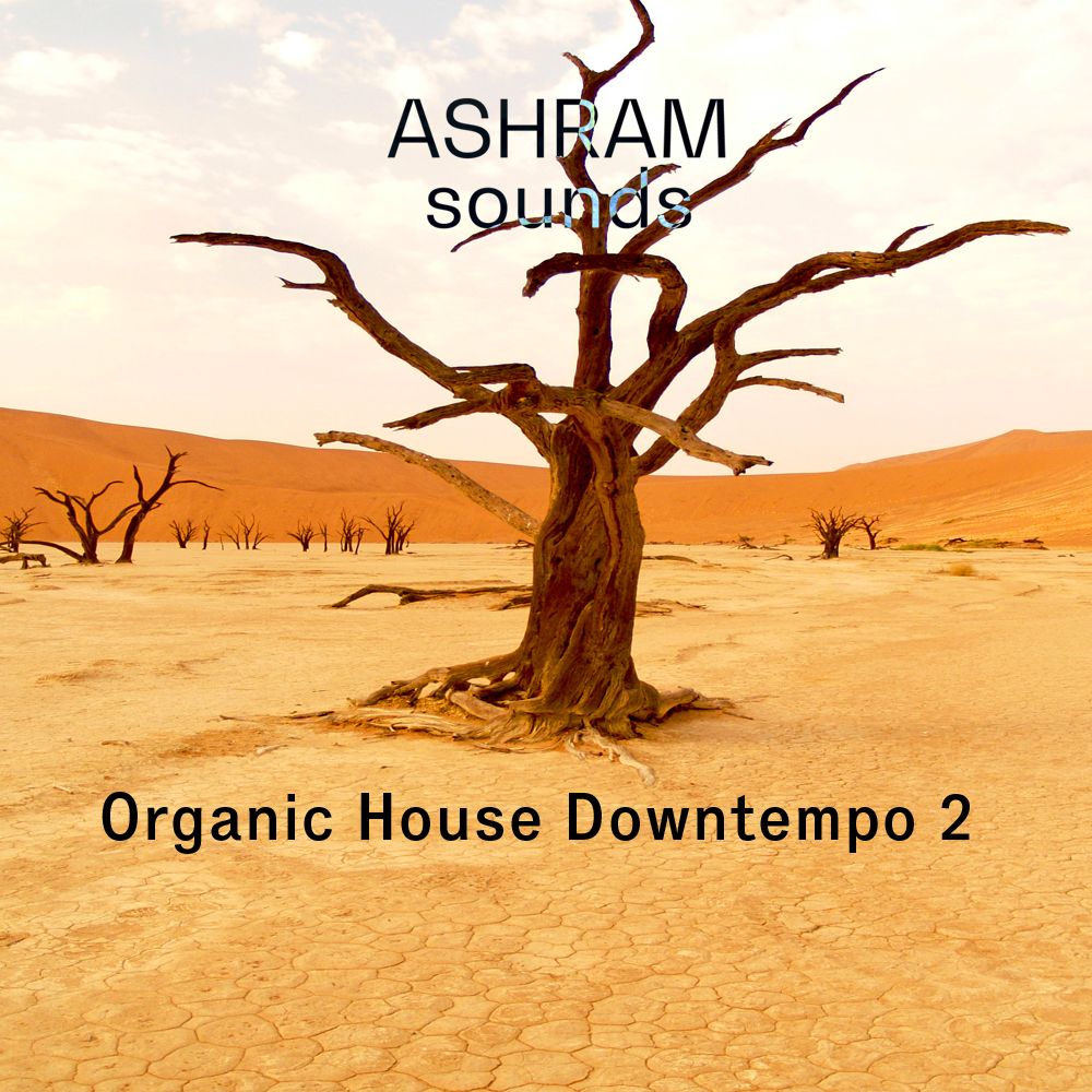 Pochette de ASHRAM Organic House Downtempo 2