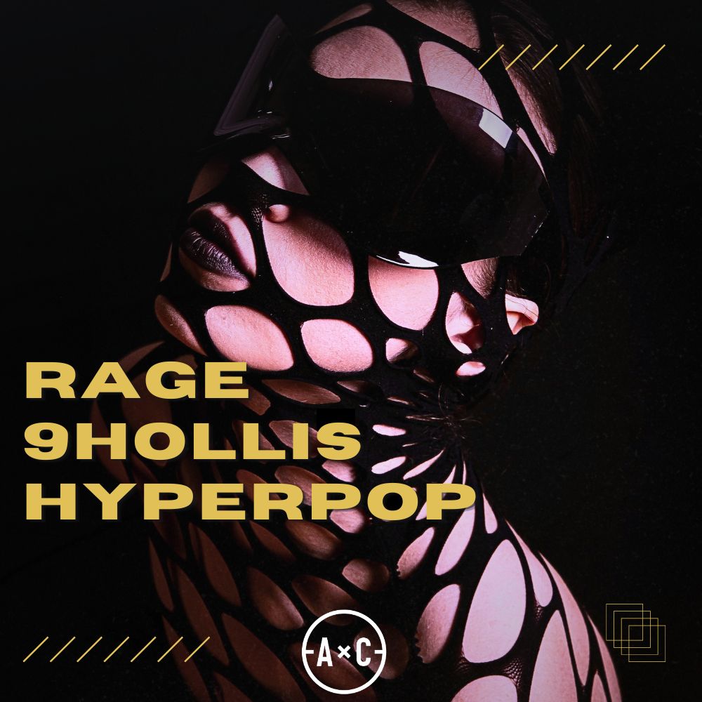 Arte de RAGE 9HOLLIS HYPERPOP