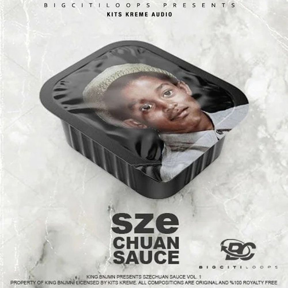 Arte de Sze Chaun Sauce