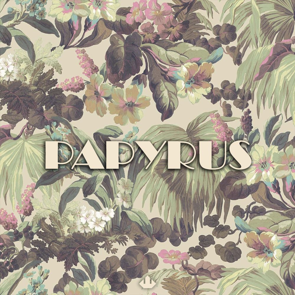 Pochette de PAPYRUS