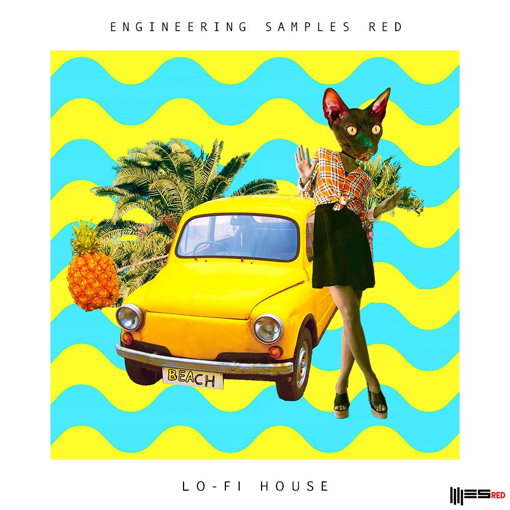 Artwork for Lo-Fi House