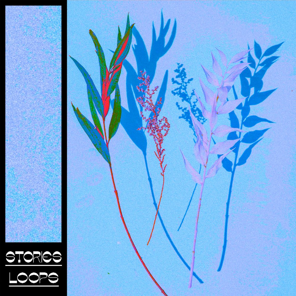 Pochette de Botany - Lo-Fi