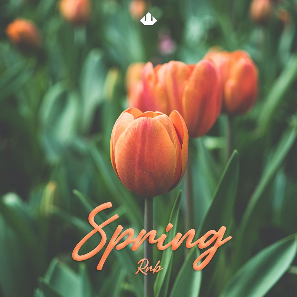 Pochette de SPRING RNB