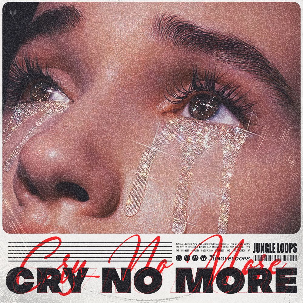 Artwork of Cry No More